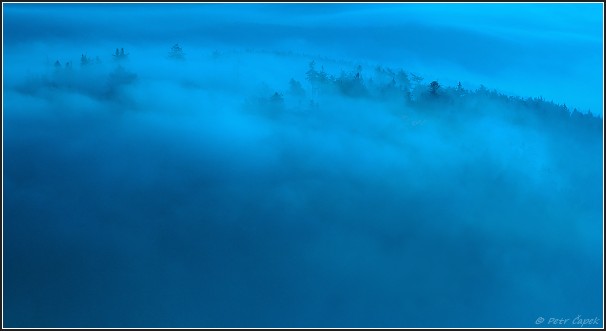 DSC_0391